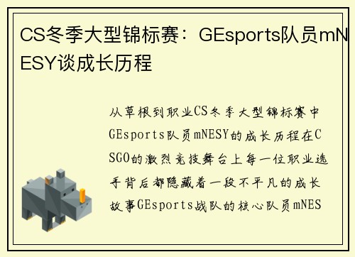 CS冬季大型锦标赛：GEsports队员mNESY谈成长历程