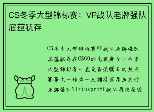 CS冬季大型锦标赛：VP战队老牌强队底蕴犹存